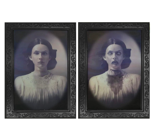 Suoke Lenticular 3D Changing Face Portrait