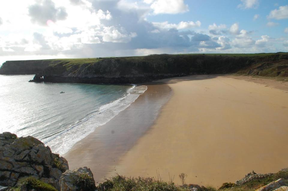 Barafundle Beach, Stackpole, Wales (TripAdvisor)