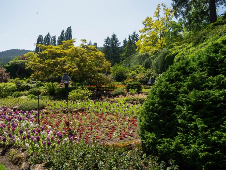 Botanical Garden via Getty Images