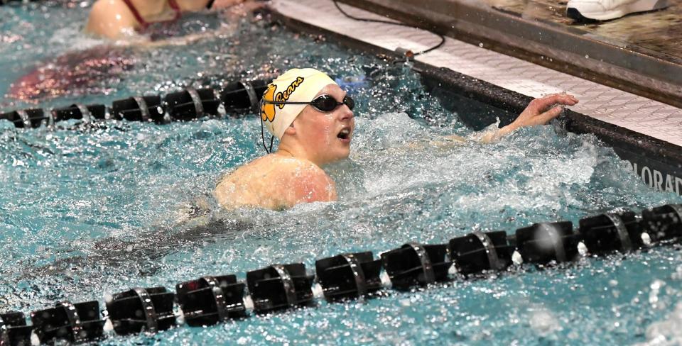 Upper Arlington's Hayden Hollingsworth won the 50 free and placed second in the 100 fly in the Division I state meet.