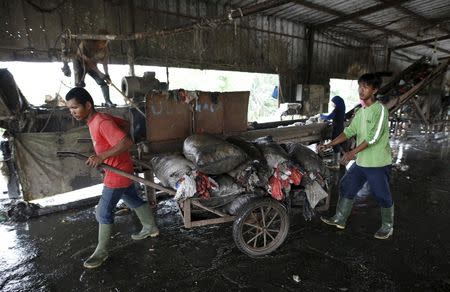 Workers transport sacks of plastic to recycle at a waste treatment facility at Bantar Gebang landfill in Bekasi, West Java province, Indonesia March 2, 2016. REUTERS/Darren Whiteside