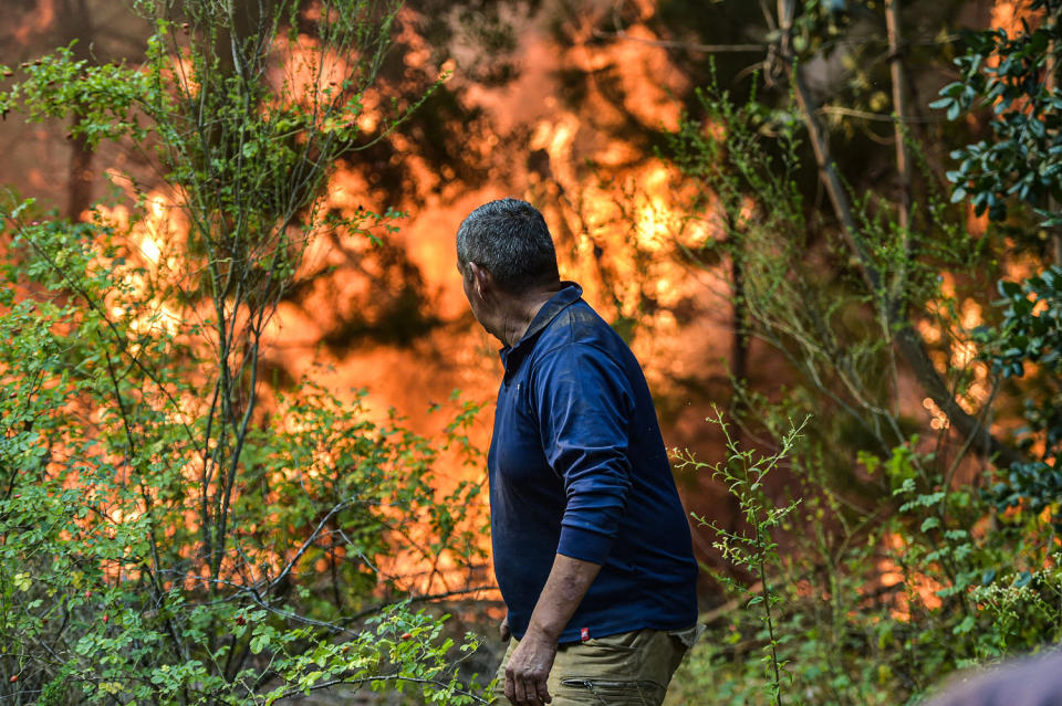 A volunteer helps fight a forest fire in El Patagual, Chile (Guillermo Salgado/AFP via Getty Images)