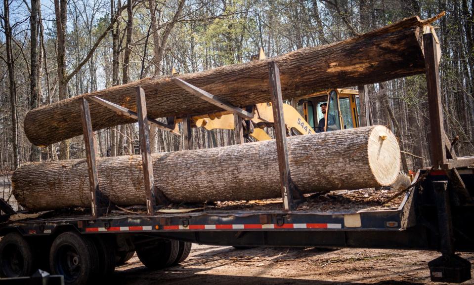 Indiana Department of Natural Resources employee Damon McGuckin loads a large tree trunk for removal from the campground area at McCormick's Creek State Park in April.