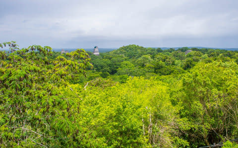 The famous Maya site of Tikal is just part of a larger city (Getty)