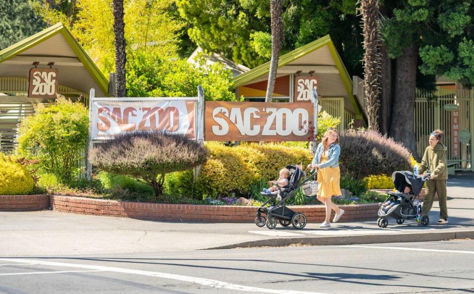 The Sacramento Zoo in Land Park is open for visitors on Monday, May 6, 2024.