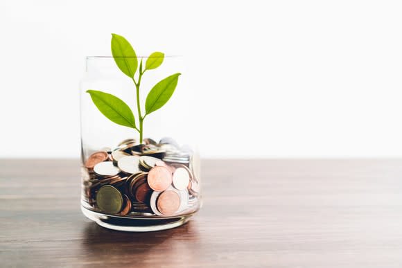 A plant growing out of a jar of coins.