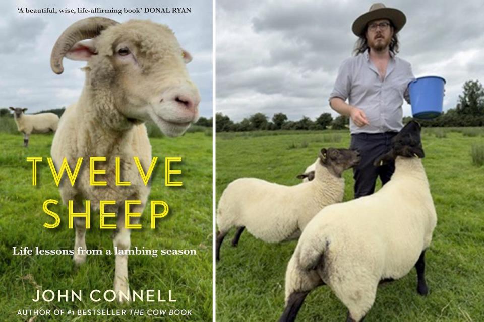 Connell’s ‘Twelve Sheep’ is, in some ways, a memoir about the author’s own struggles with depression and how he used those difficulties to change his life (Allen & Unwin)