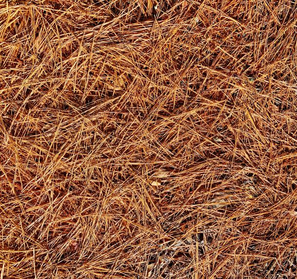 best mulch for flower beds pine straw