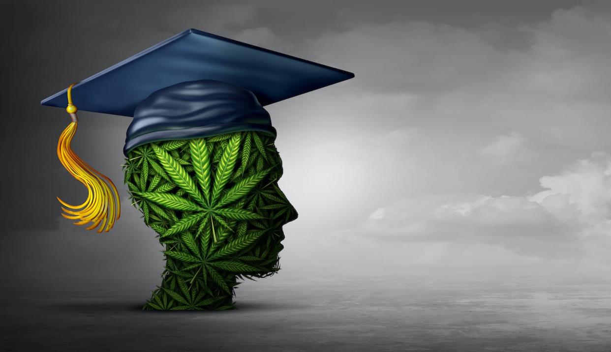 Effects of legalization on college application rates are short term. <a href="https://www.gettyimages.com/detail/photo/cannabis-education-royalty-free-image/1138086235?phrase=marijuana+graduation&adppopup=true" rel="nofollow noopener" target="_blank" data-ylk="slk:wildpixel via iStock/Getty Images Plus;elm:context_link;itc:0;sec:content-canvas" class="link ">wildpixel via iStock/Getty Images Plus</a>