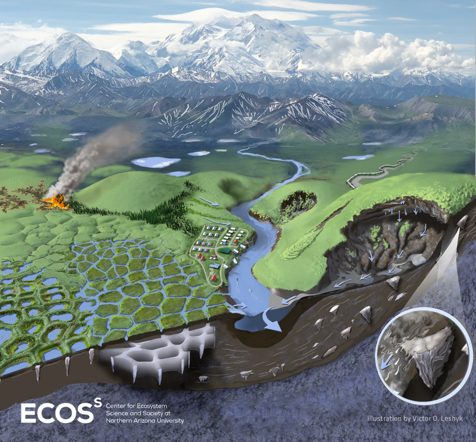 An illustration shows some of the ways permafrost affects the Arctic landscape. <a href="https://ecoss.nau.edu/what-we-do/" rel="nofollow noopener" target="_blank" data-ylk="slk:Victor O. Leshyk, from Schuur et al. 2022. Permafrost and Climate Change: Carbon Cycle Feedbacks from the Warming Arctic. Annual Review of Environment and Resources Volume 47 (in press);elm:context_link;itc:0;sec:content-canvas" class="link ">Victor O. Leshyk, from Schuur et al. 2022. Permafrost and Climate Change: Carbon Cycle Feedbacks from the Warming Arctic. Annual Review of Environment and Resources Volume 47 (in press)</a>