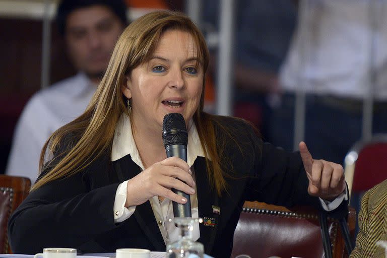 La senadora Magdalena Odarda presentará un proyecto para derogar la ley antiterrorista