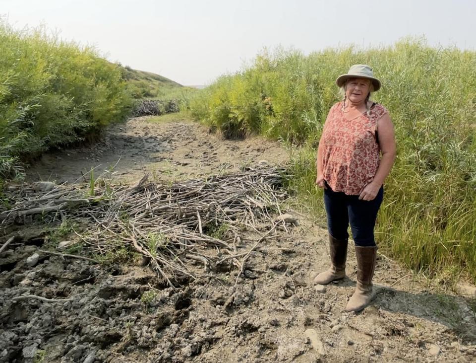 Heidi Eijgel stands on the edge of what used to be Beaver Creek in the MD of Pincher Creek. A number of beaver dams are still in place, but there are dozens of small dead fish.