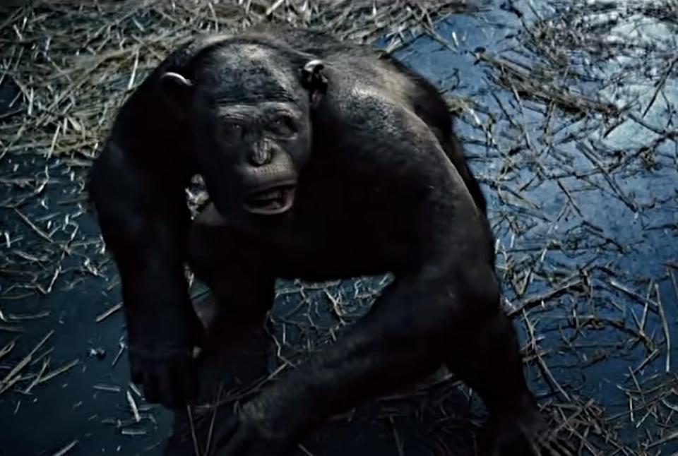 rocket in rise of the planet of the apes