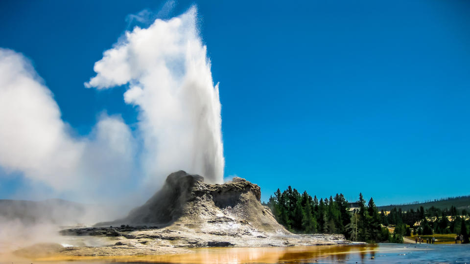 Castle Geyser erupts with hot water and steam with pools of thermophilic bacteria and it's a cone geyser in the Upper Geyser Basin of Yellowstone National Park, Wyoming, United States.