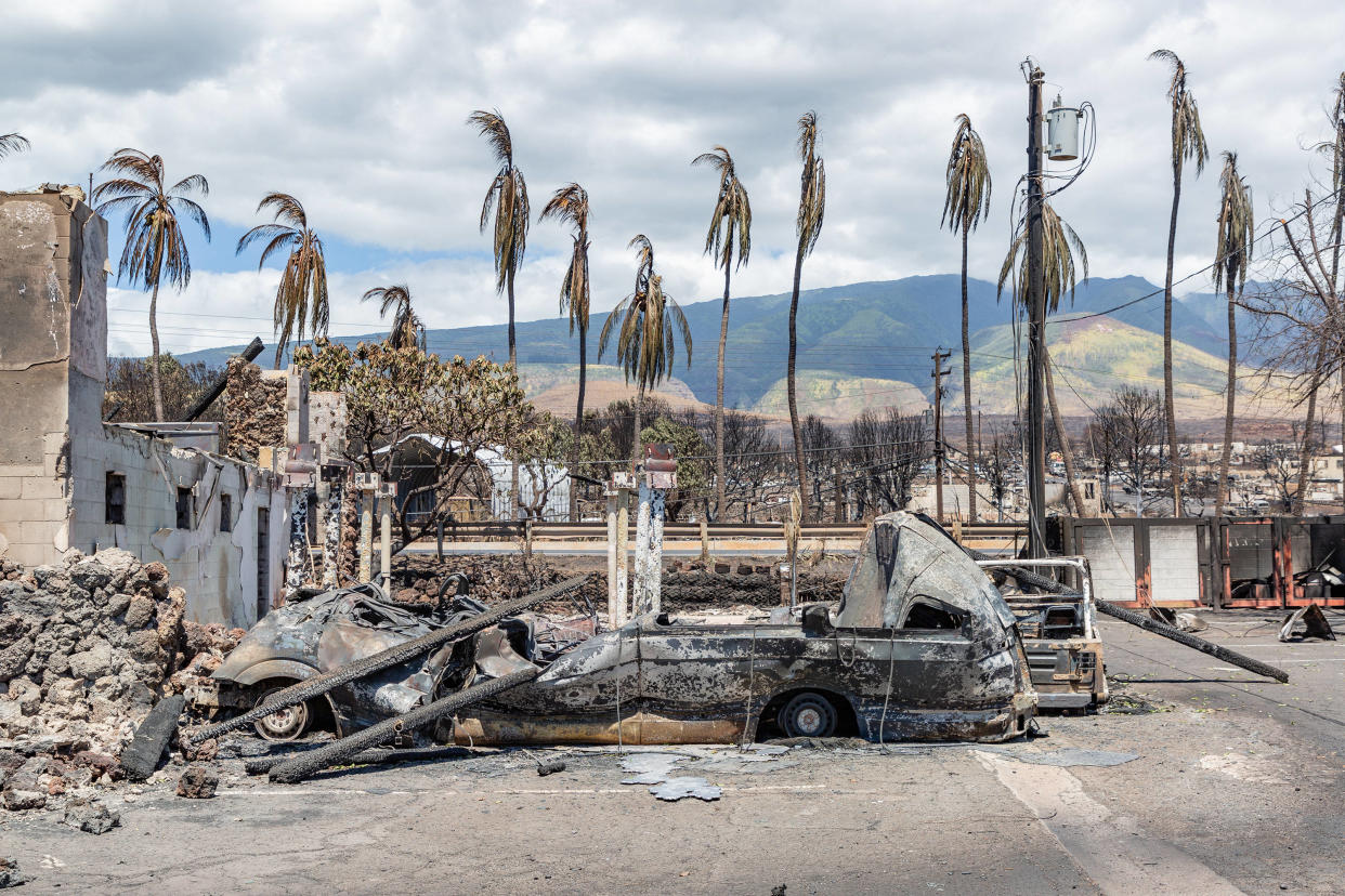 Des palmiers et des voitures calcinés après les incendies à Lahaina, sur l’île de Maui, le 11 août. 