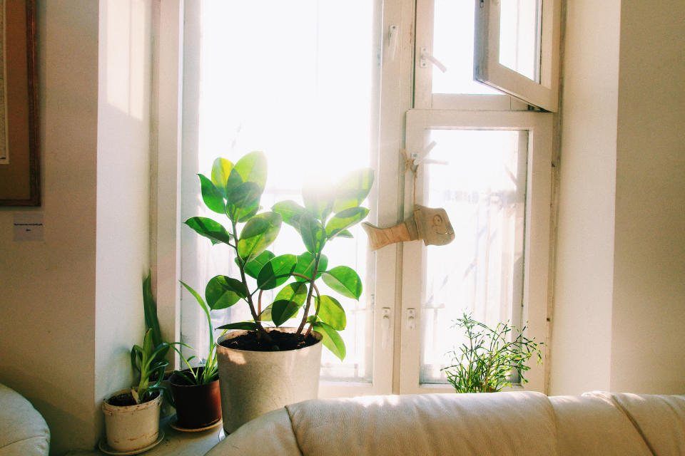 Scientist suggest opening a high window to increase ventilation. (Getty Images)