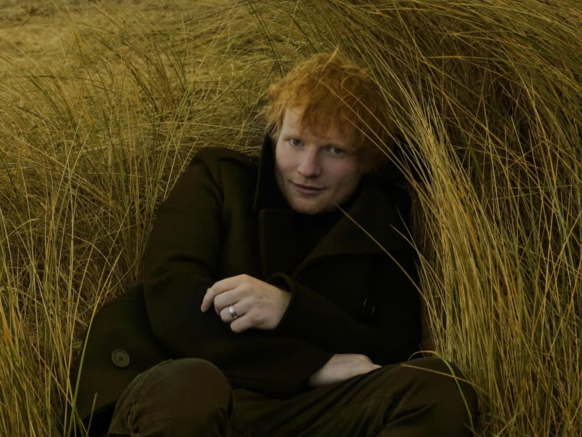 Less is more: Ed Sheeran pares things back on his latest album (Annie Leibovitz)