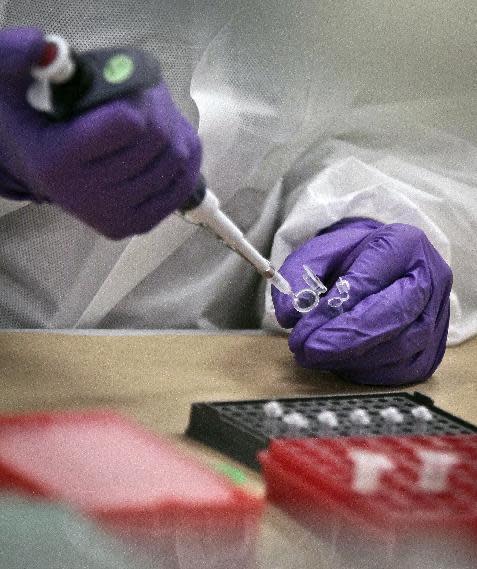 FILE - In this April 15, 2014, file photo, a criminalist trainee prepare sample bone fragments for DNA testing at the training lab in the Office of Chief Medical Examiner in New York. More police departments are amassing their own DNA databases, a move critics say is a way around stringent regulations governing state crime labs and the national DNA database(AP Photo/Bebeto Matthews, File)