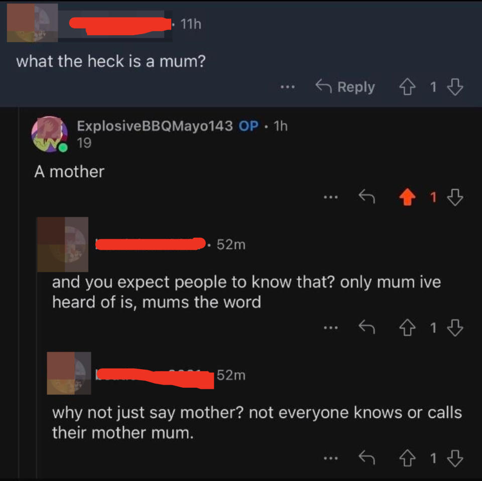 "why not just say mother?"