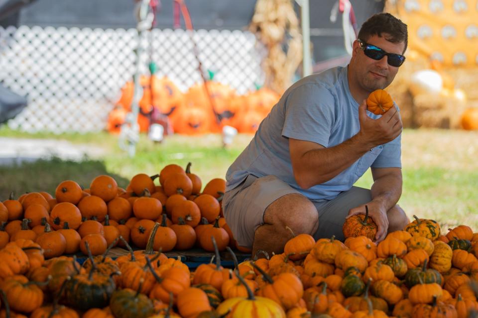 Big or small, the perfect pumpkin just might be waiting for you at Mr. Jack O 'Lantern's Pumpkin Patch in West Palm Beach.