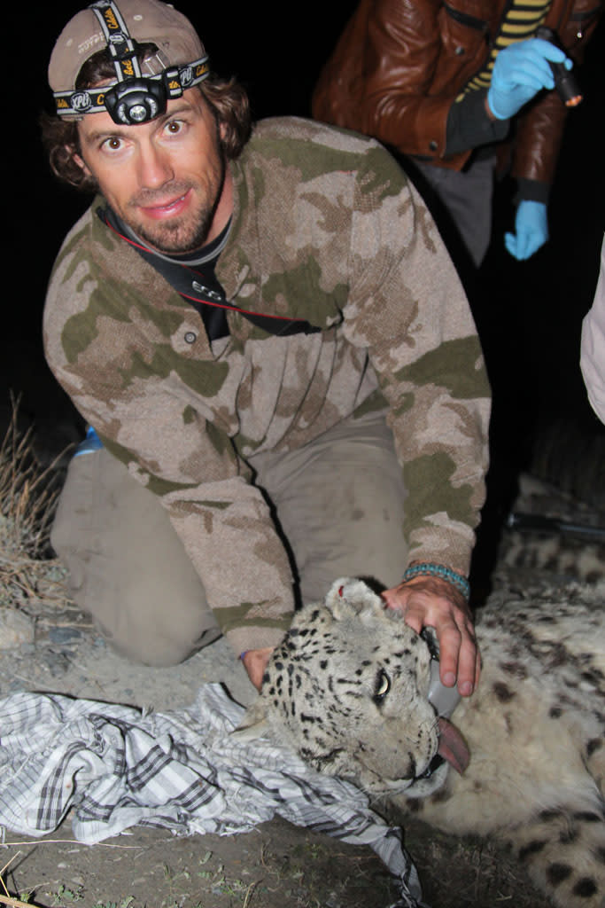 Snow Leopard of Afghanistan