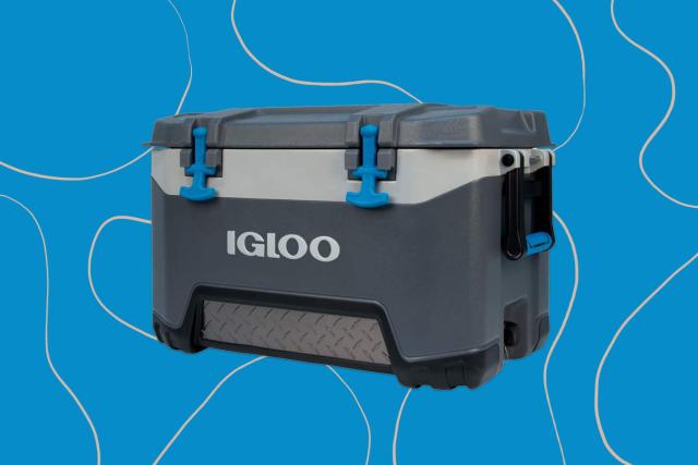 Buy Igloo Mini Cooler Ice Pack Blue