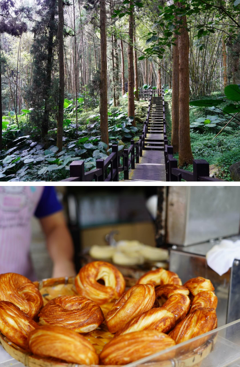 阿里山下最美小鎮　喝獨創茶飲遊森林步道