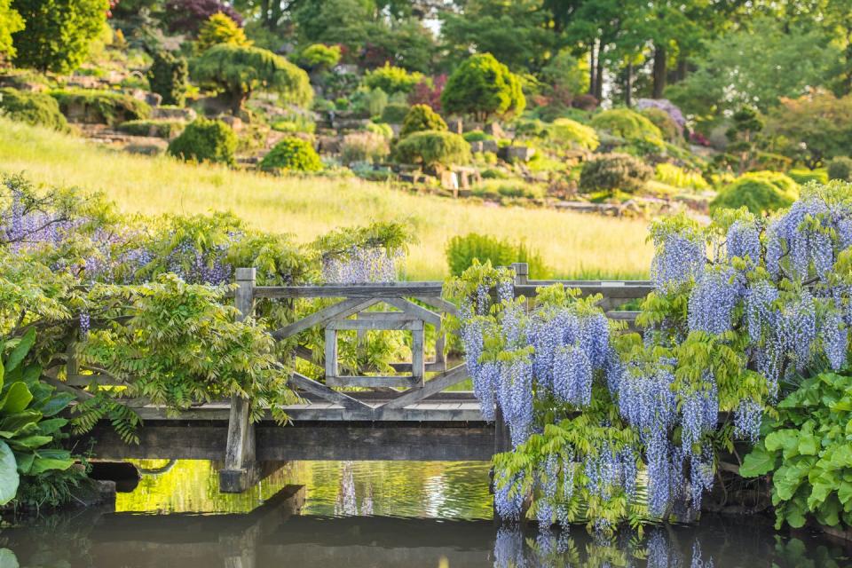 6) RHS Garden Wisley