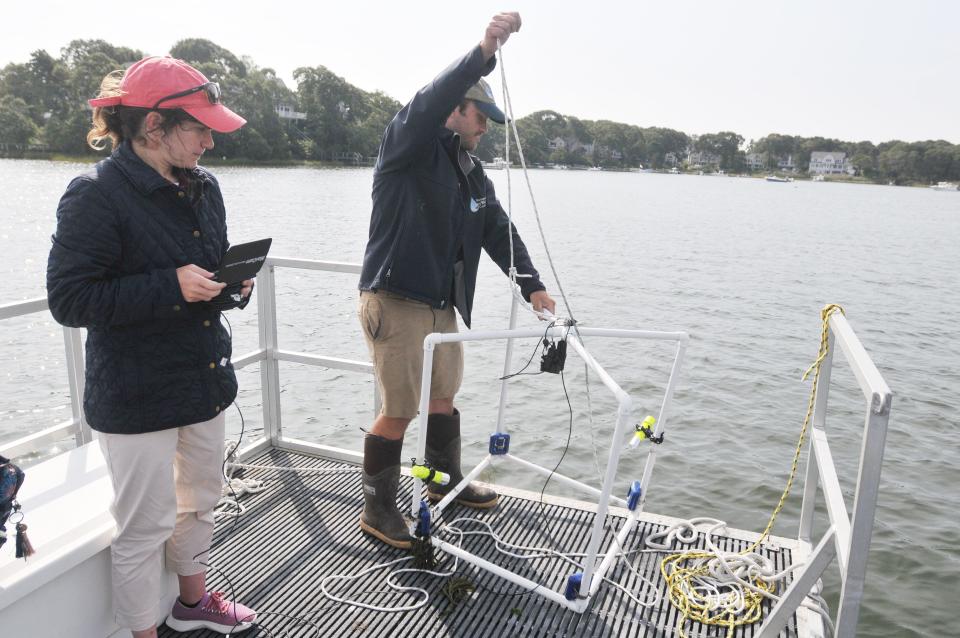 Environmental researcher Nicole Corbett, left, watches as Barnstable Clean Water Coalition field operations manager Luke Cadrin lowers a camera into Ockway Bay on Sept. 28 in Mashpee, to take video of the shallow area. Corbett has been studying seaweed and jellyfish to better understand water quality in Cape Cod embayments and estuaries, especially Popponesset.