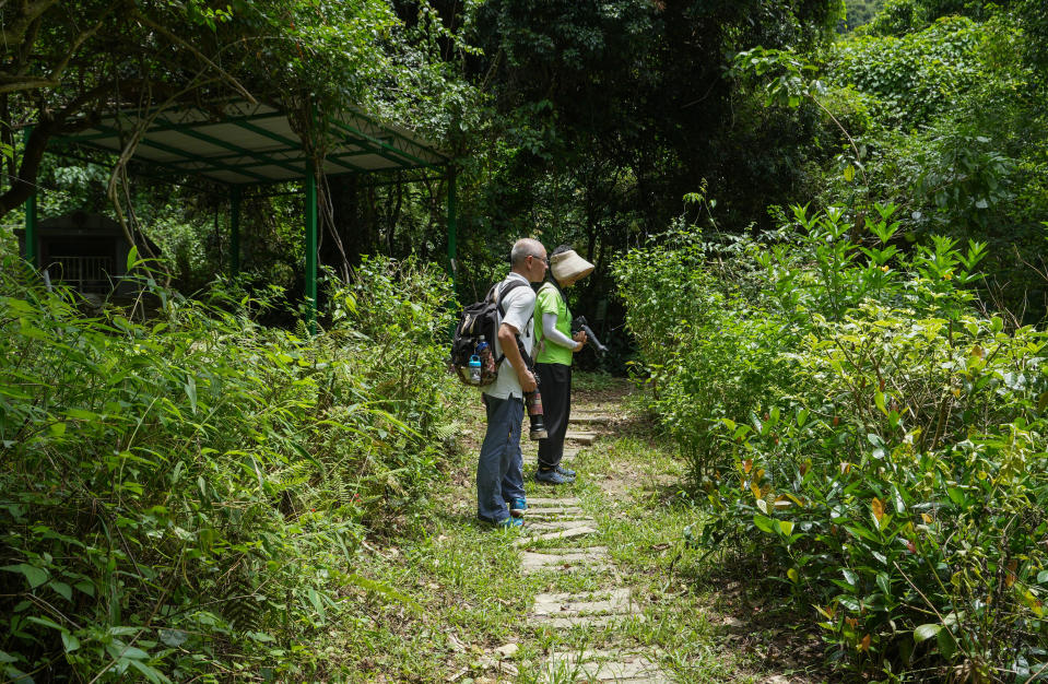 不少生態攝影愛好者及市民都愛到鳳園蝴蝶保育區，拿着攝影器材拍攝蝴蝶。
