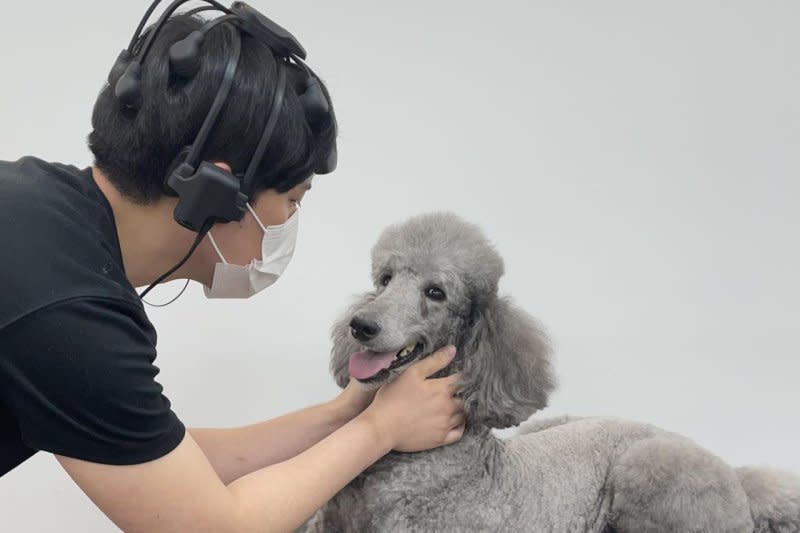 A study participant plays with Aroma, or Aro for short. Photo by Onyoo Yoo