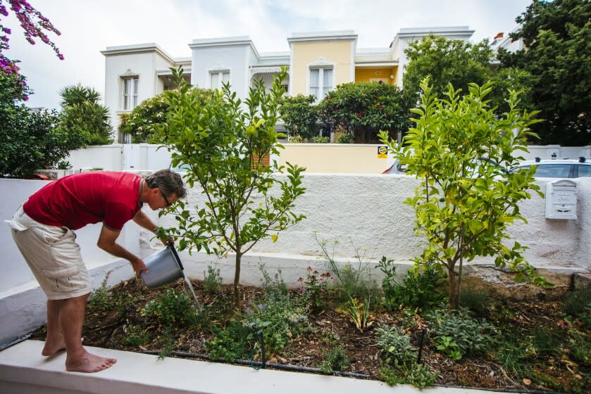 A man waters the plants in his garden with used shower water, also known as 'grey water'