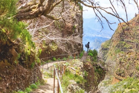 Madeira is heaven for hikers - Credit: GETTY