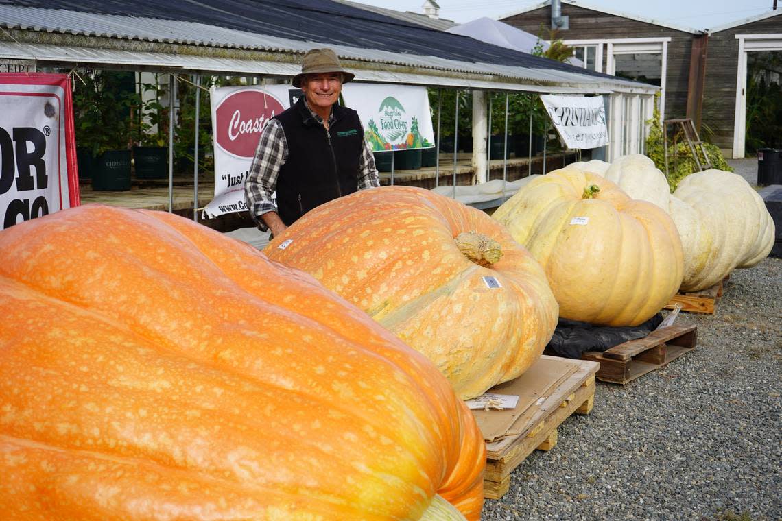 John Christianson, co-owner of Christianson’s Nursery, stands among the top-weighing pumpkins at the Skagit Valley Giant Pumpkin Festival on Saturday, Sept. 17, in Mount Vernon.