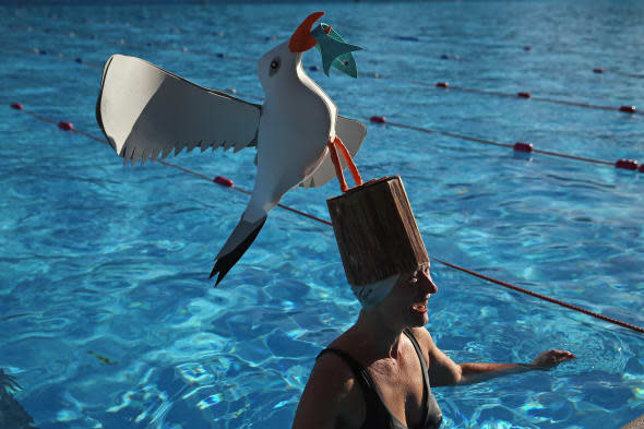 Tooting Bec Lido Hosts The UK Cold Water Swimming Championships