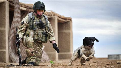 A dog and his soldier. Credit: NBC News