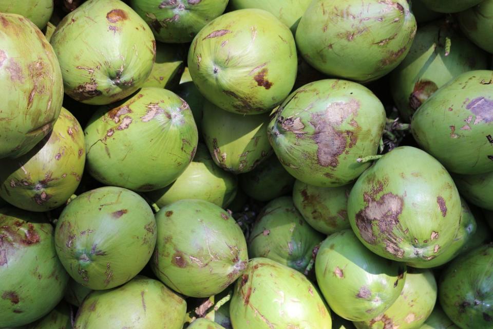 coconut water benefits  