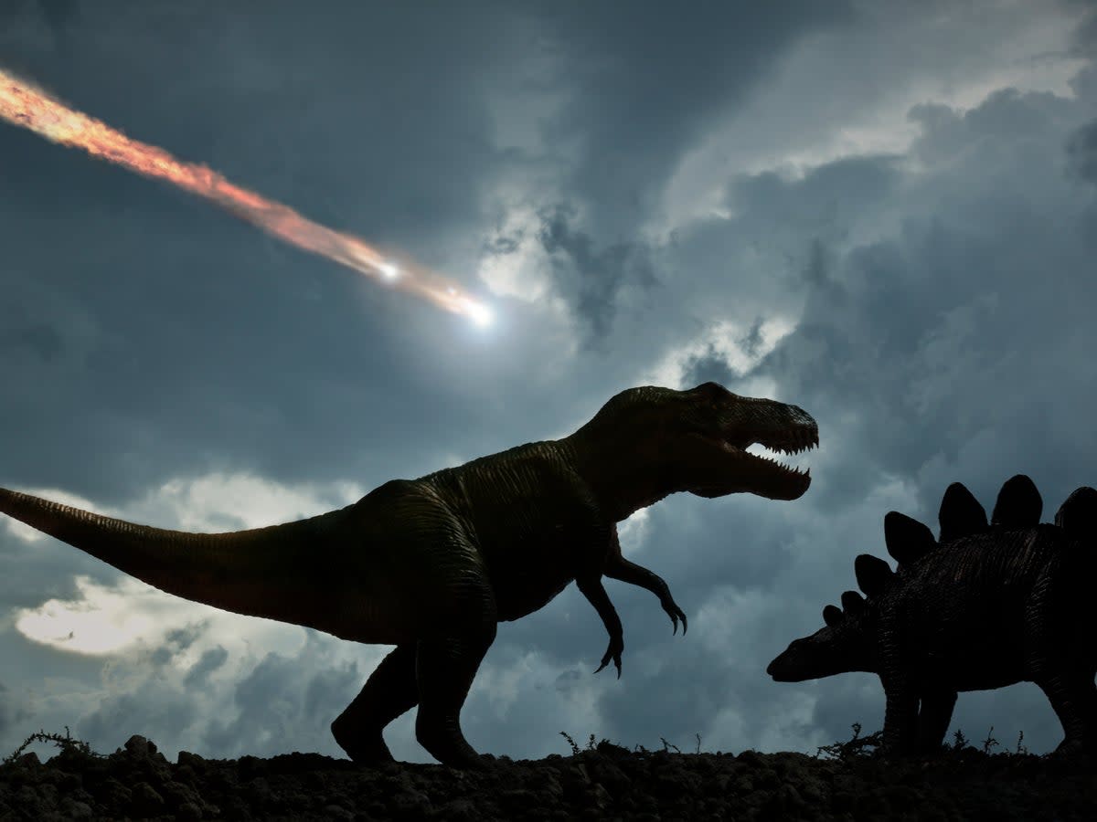 Dinosaurs may have been in their prime when the asteroid struck, new research suggests (Getty Images/iStockphoto)