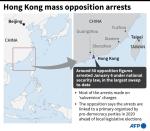 Hong Kong mass opposition arrests
