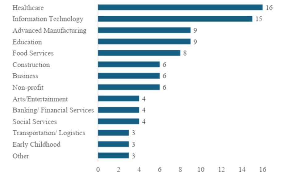 Number of proposals received, by industry.  “Other” includes pet grooming, agriculture and law enforcement (Heckscher Foundation Challenge)