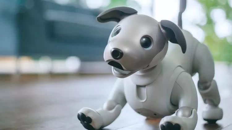 索尼電子狗Aiba是如何撫平人類寂寞的？