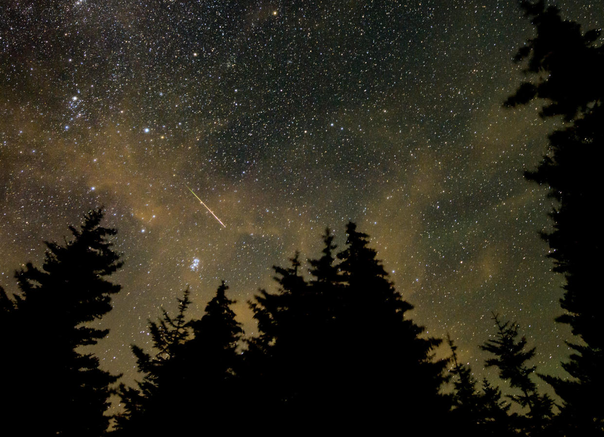  a meteor streaks across a dark sky above the silhouettes of pine trees 