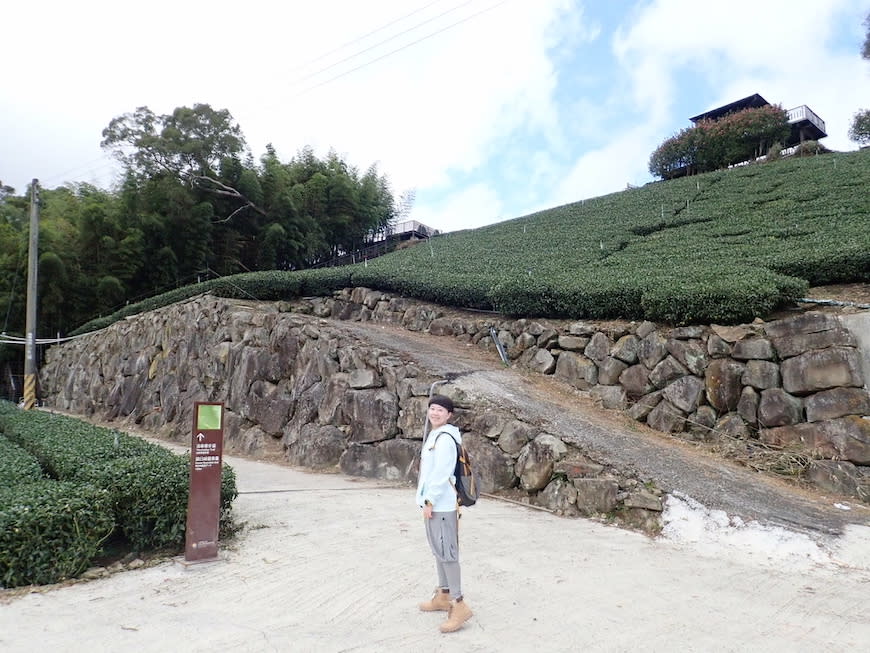 嘉義大風埕觀日峰＋油車寮步道