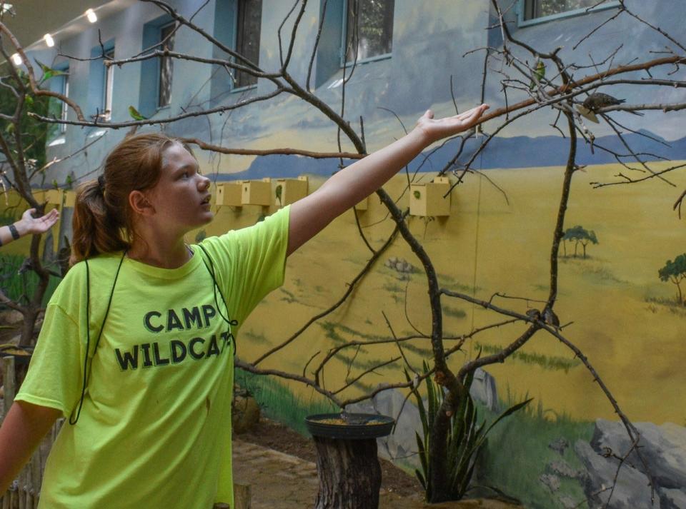 A camper gently holds her hand out in the Aviary hoping a bird will use it as a perch.
