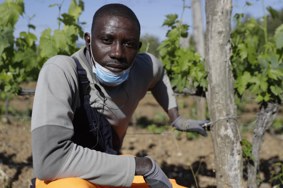 Ibrahima Fofana, 30 years-old, of Mali, poses for a picture at the Nardi vineyard in Casal del Bosco, Italy, Friday, May 28, 2021. It is a long way, and a risky one. But for this group of migrants at least it was worth the effort. They come from Ghana, Togo, Sierra Leone, Pakistan, Guinea Bissau, among other countries. They all crossed the Sahara desert, then from Libya the perilous Mediterranean Sea until they reached Italian shores, now they find hope working in the vineyards of Tuscany to make the renown Brunello wine. (AP Photo/Gregorio Borgia)