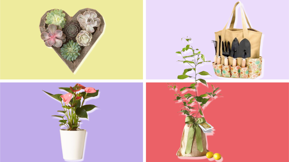 Best gardening and plant gifts for moms