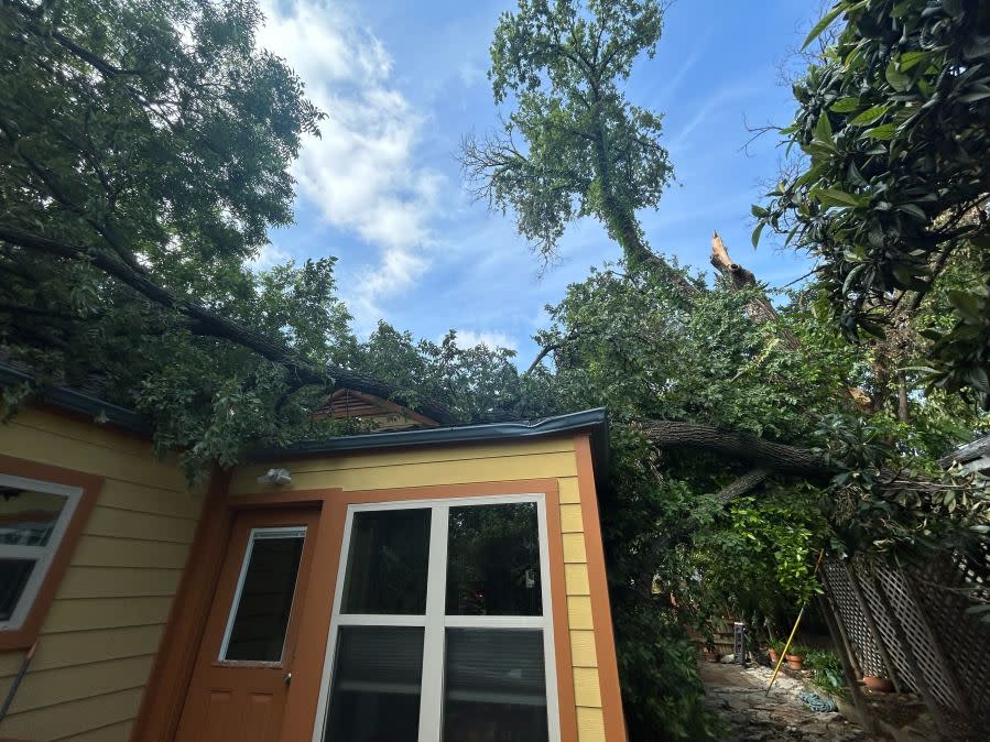 A large branch from a neighbor’s elm tree crashed on top of a south Austin home’s roof during severe storms. (KXAN photo/Will DuPree)