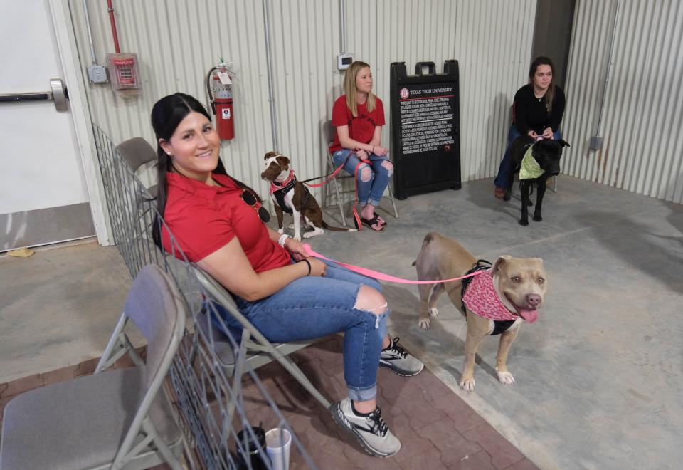 A volunteer sits with one of the dogs available for adoption at a meet and greet at the Texas Tech School of Veterinary Medicine "Barks and Recreation" event Saturday at Mariposa Station in west Amarillo.