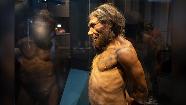 Fourteen Discoveries Made About Human Evolution in 2022