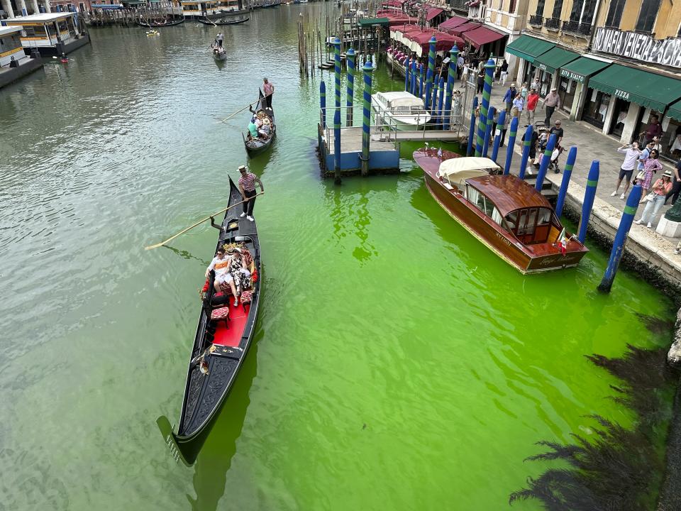 義大利威尼斯大運河（Grand Canal）部分河段28日被染成一片螢光綠。（美聯社）